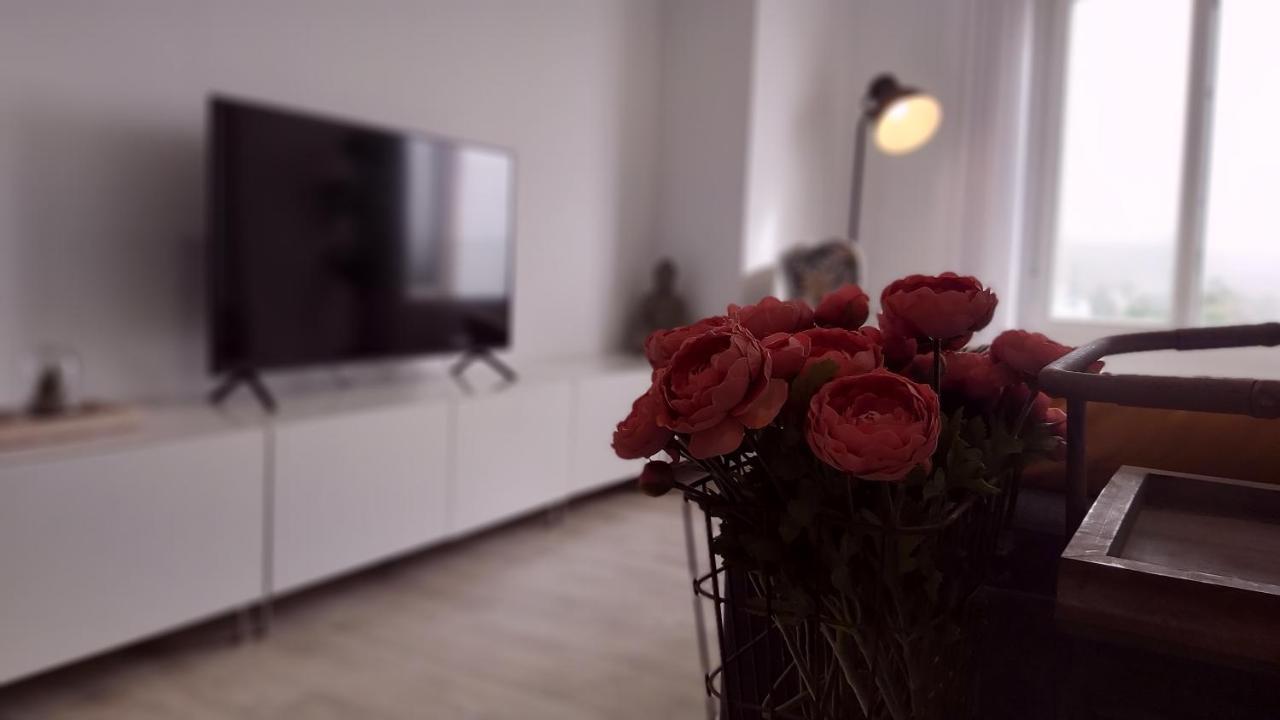 Del Parque Flats Puerto Apartment Малага Екстериор снимка